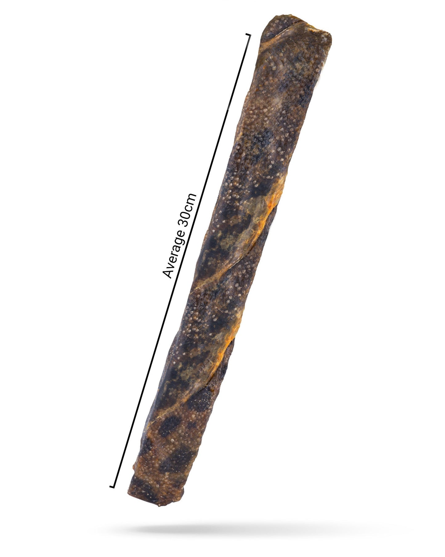 Jumbo Jerky Toothbrush - With Wolf Fish