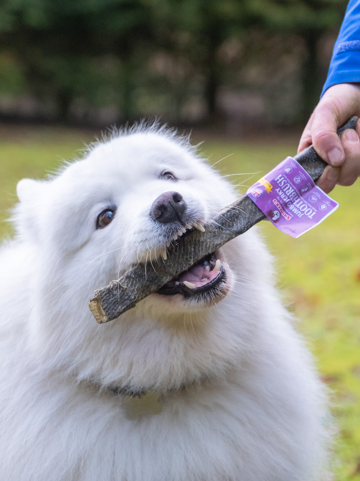 Jumbo Jerky Toothbrush - With Wolf Fish