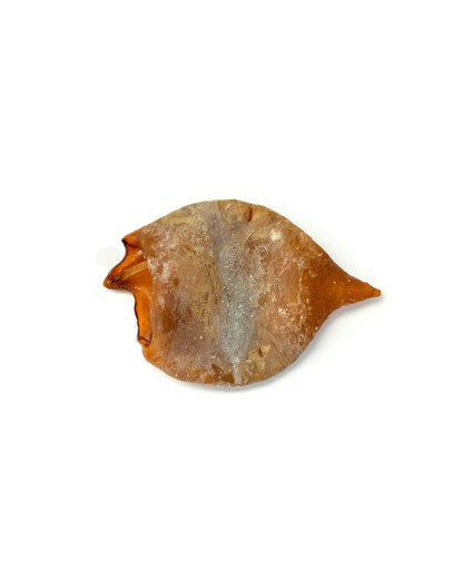 Baked Squid Bites