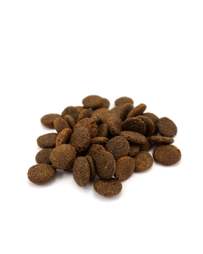 NEW Turkey with Sweet Potato & Cranberry Dog Food